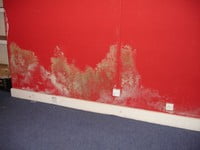 stained wall